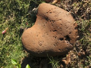 Heart-shaped rock. Maui, Hawaii 2009